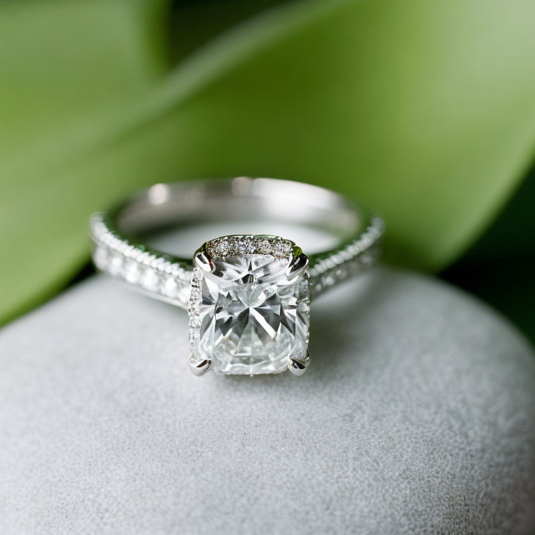 Cushion-Cut Diamond Engagement Ring with Pavé-Set Band on Stone with Leafy Background