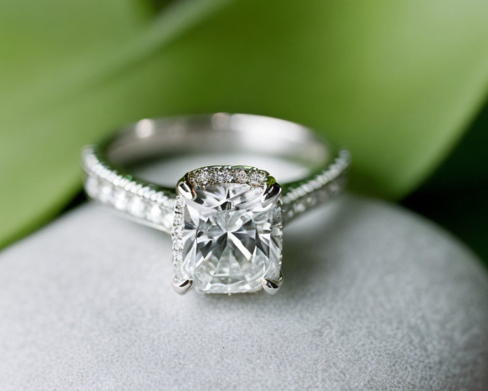 Cushion-Cut Diamond Engagement Ring with Pavé-Set Band on Stone with Leafy Background