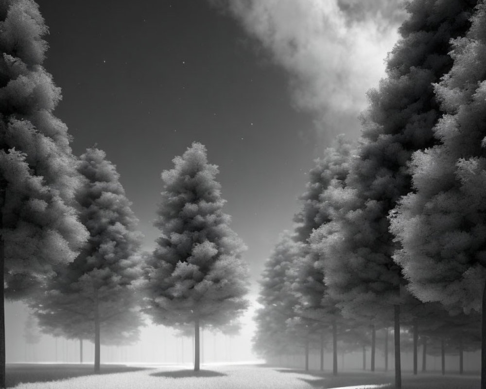 Monochromatic landscape with symmetric forest path under cloudy sky