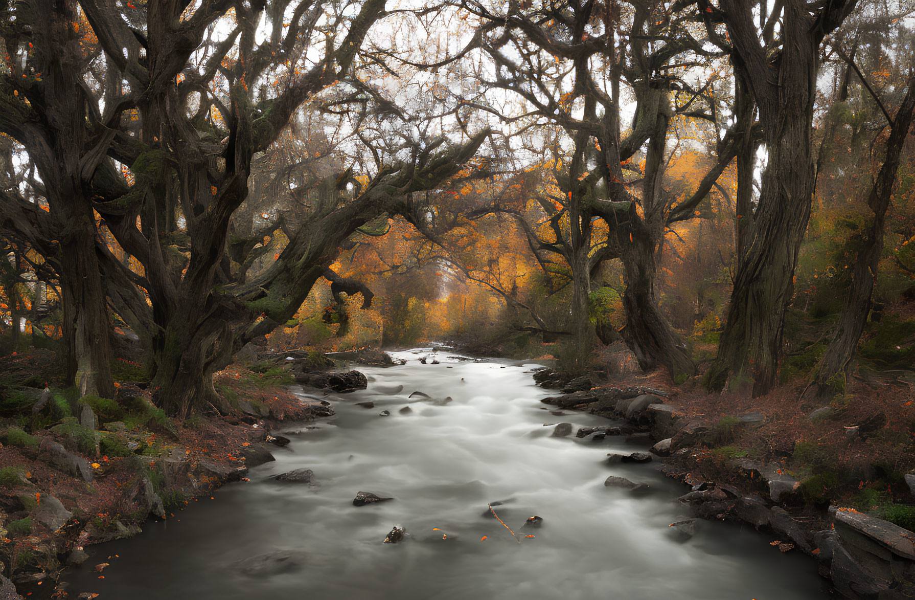 Tranquil forest river with twisted trees and autumn leaves