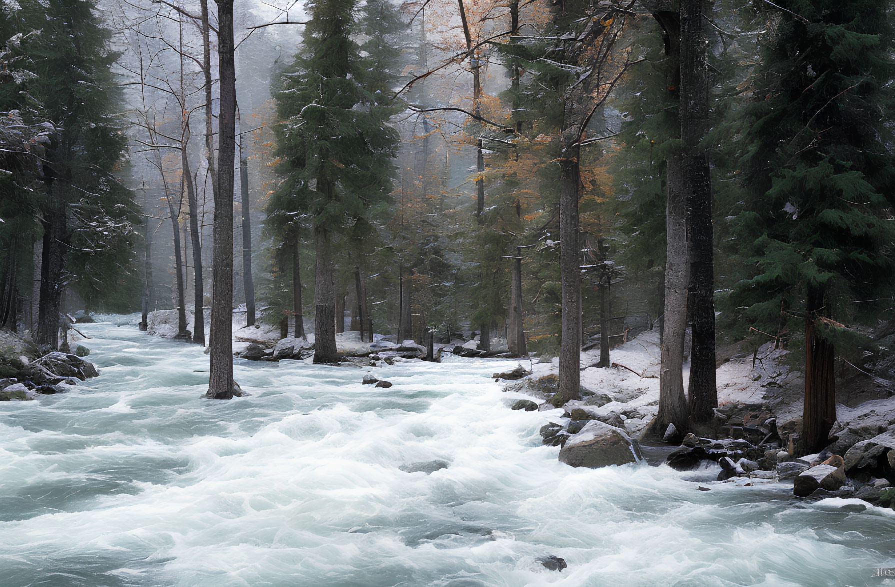 Snow-dusted trees by rapid river in misty forest