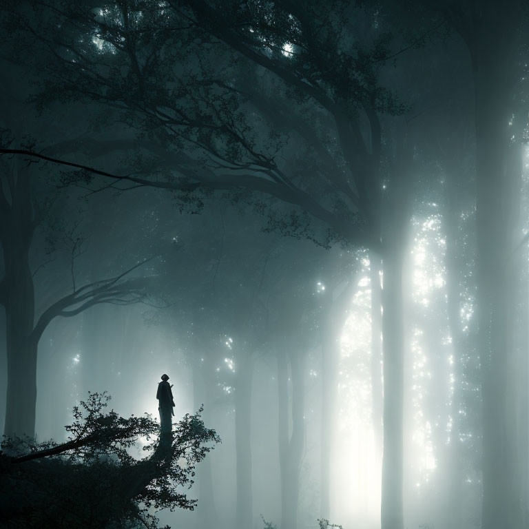 Figure on fallen tree in mystical forest with light beams