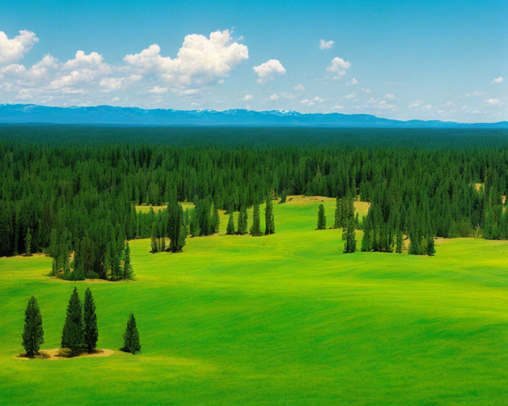 Scenic green meadow with trees, forest, and mountains under blue sky