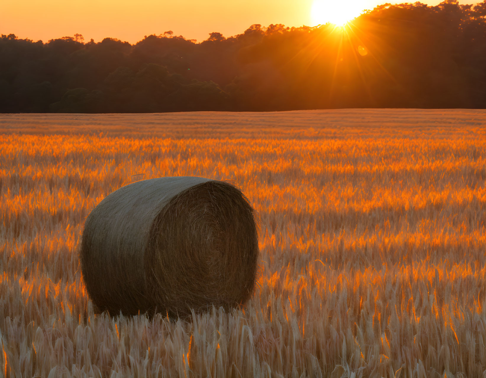 Golden field sunset scene with hay bale and long shadows