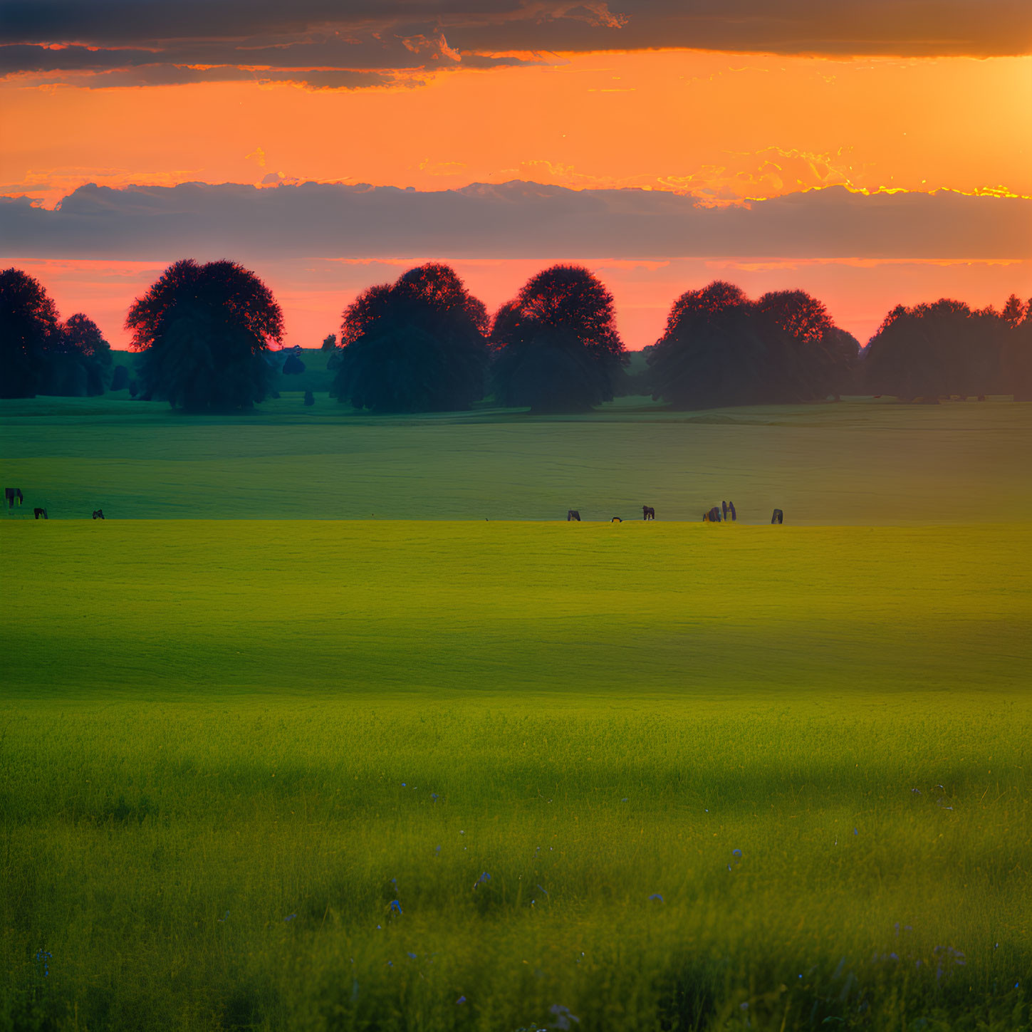 Scenic sunset over golden field with silhouetted trees and grazing animals