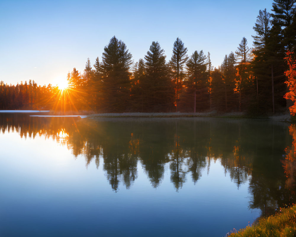 Tranquil lake sunset with pine tree reflection and autumn foliage.