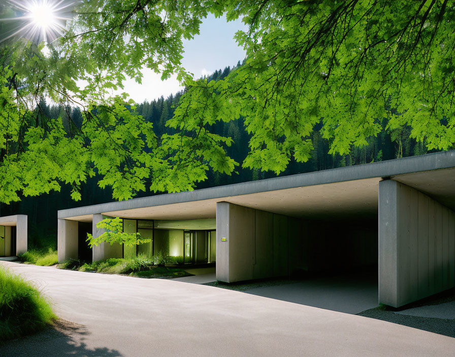 Flat-roofed modern building in lush forest with large glass windows