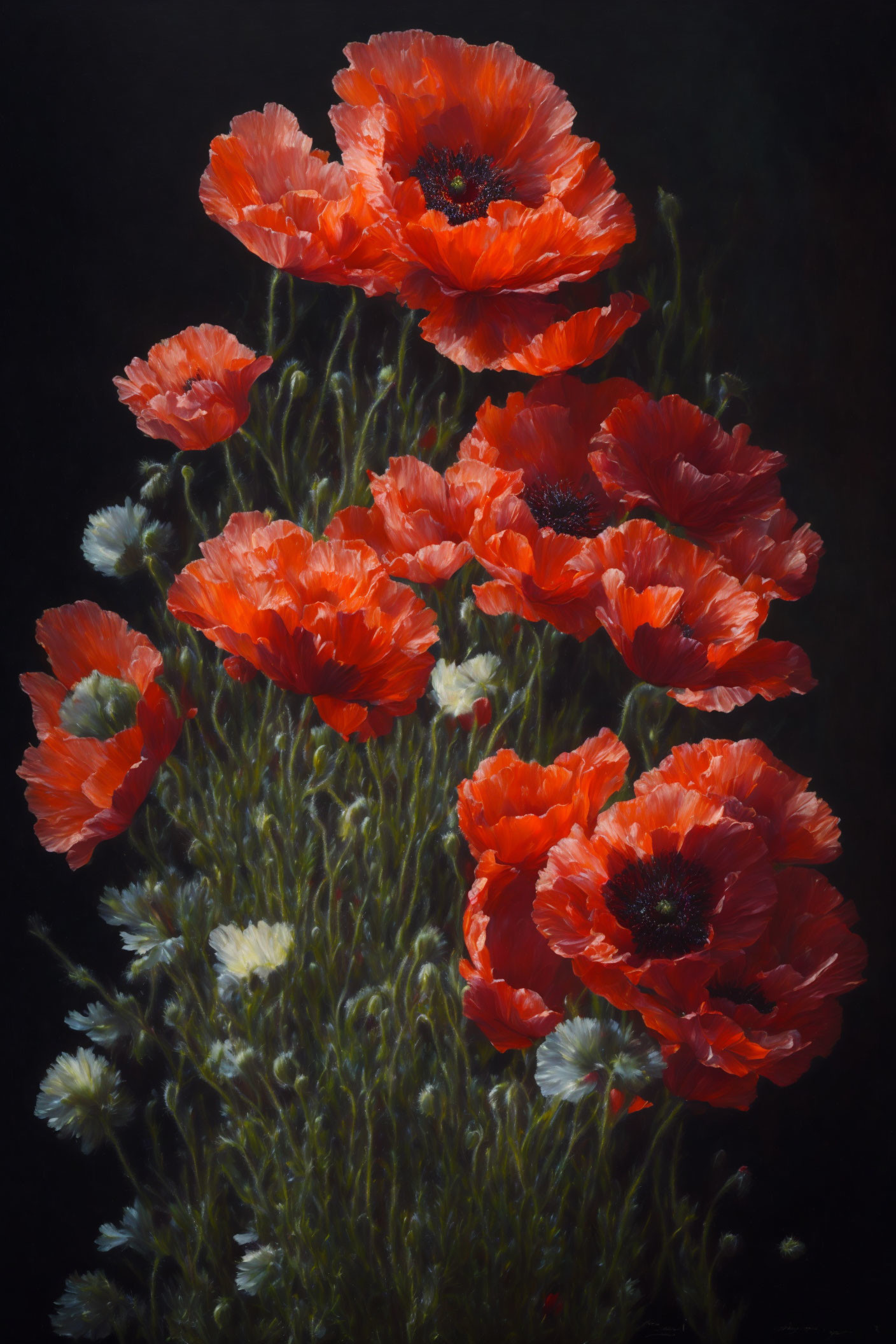 Vibrant red poppies bouquet on dark moody background