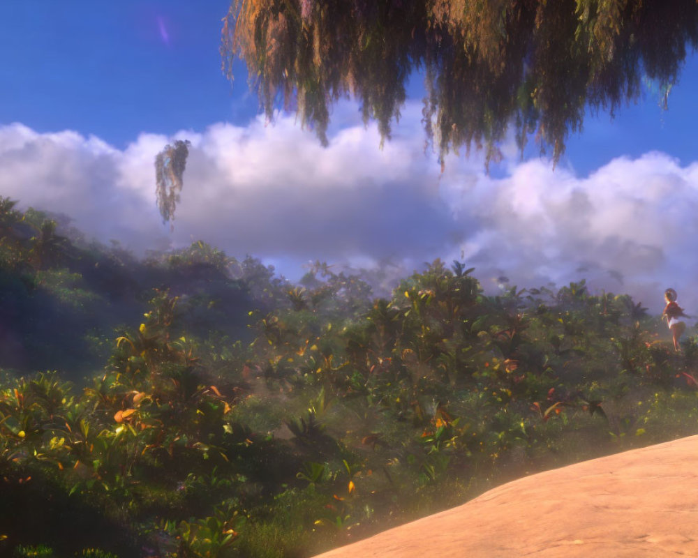 Person on Rock Overlooking Lush Jungle at Sunrise or Sunset