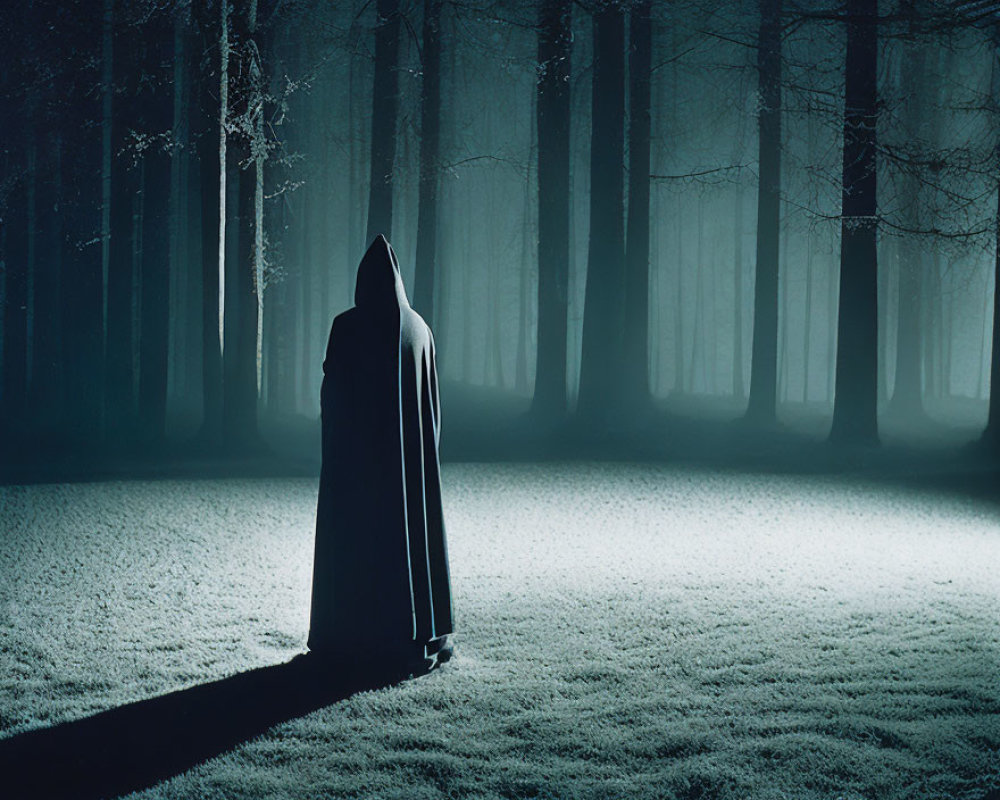 Misty moonlit forest clearing with cloaked figure