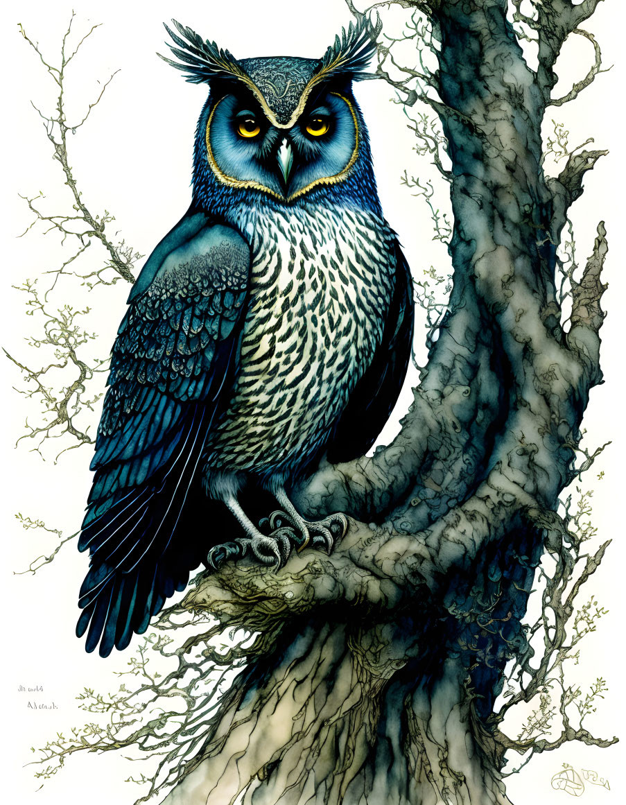 Blue and Black Owl Illustration with Yellow Eyes on Tree Branch