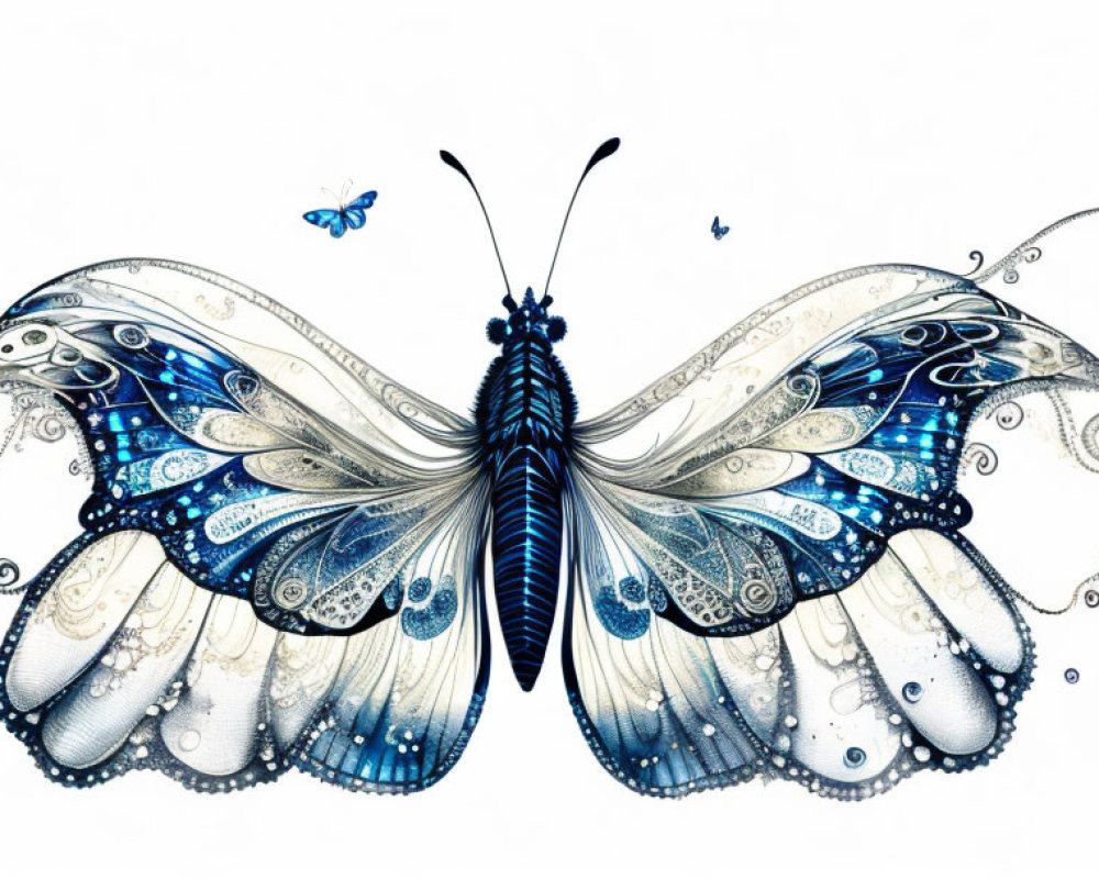 Detailed Blue and White Butterfly Illustration on White Background