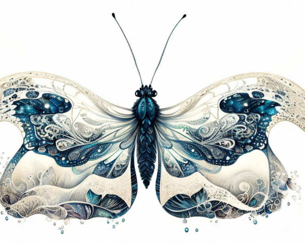 Blue and White Butterfly with Lace-like Patterns in Stylized Artwork