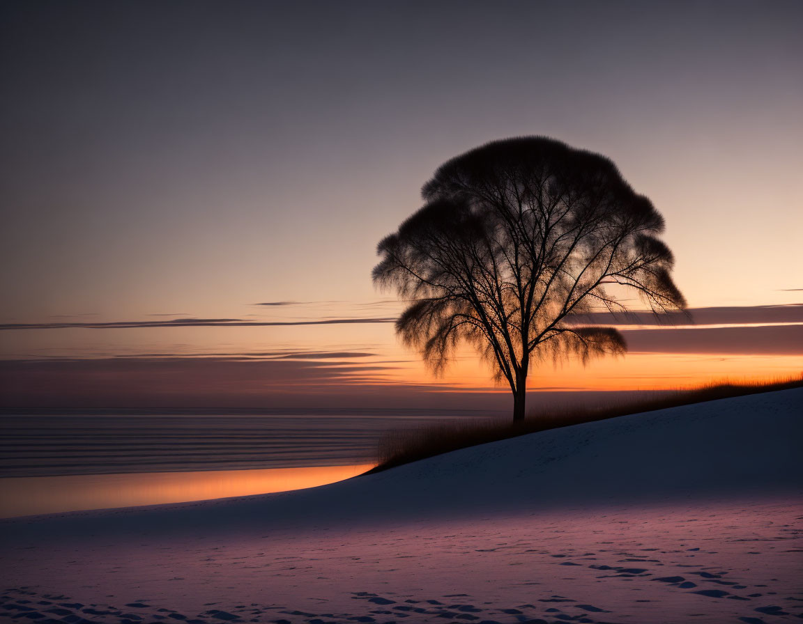 Solitary tree silhouette at vivid sunset over snow-covered dune by serene water