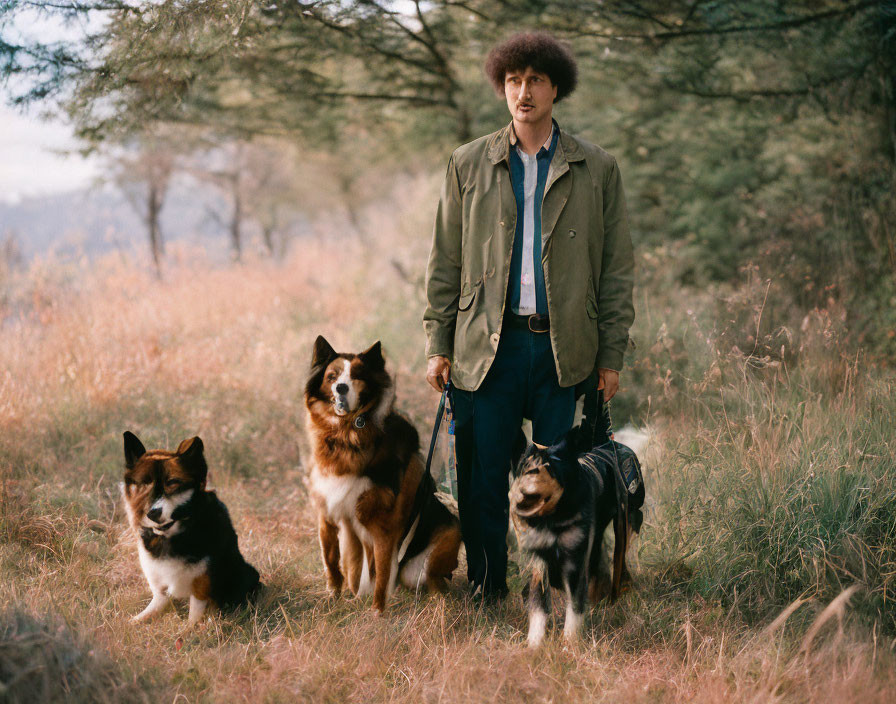 Curly-Haired Man with Three Dogs Outdoors in Grass Field