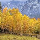 Autumn village scene with colorful foliage and cozy houses