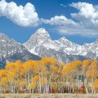 Scenic Mountain Village with Snowy Peaks and Autumn Foliage