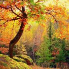 Tranquil forest glade with cottages, blossoming tree, flowers, and stream