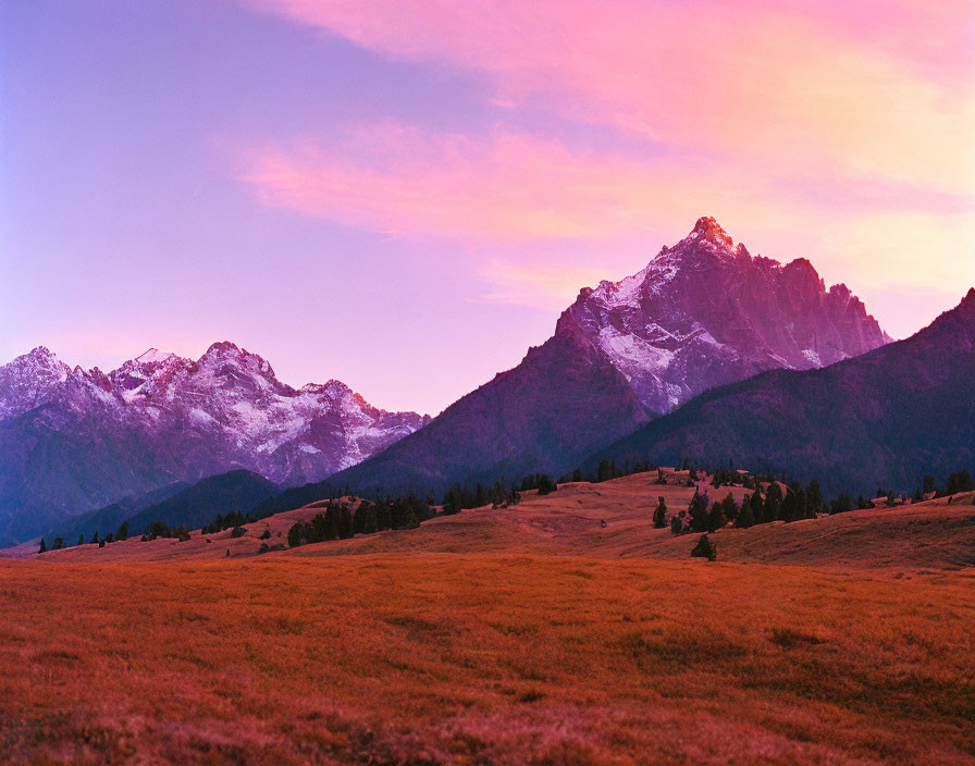 Scenic sunrise over snow-capped mountains and golden meadow