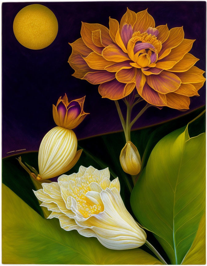 Colorful Golden Lotus Flower Illustration on Purple Background