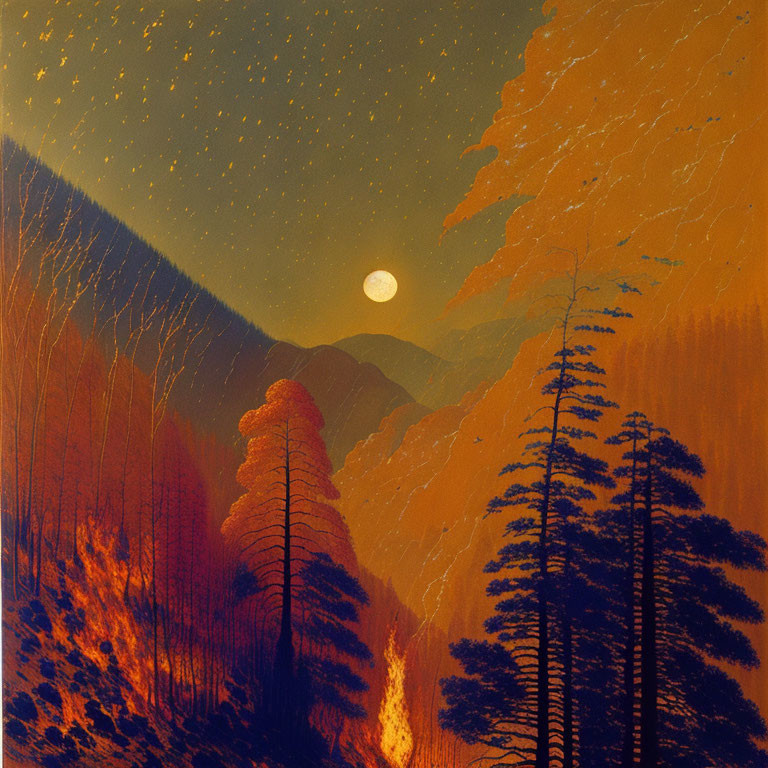 Moonlit starry sky over forest with orange and red hues and tall tree silhouettes