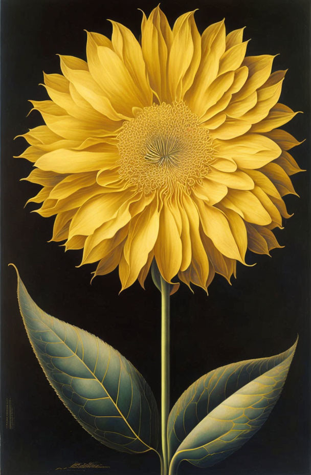 Detailed sunflower painting with vibrant yellow petals on black background