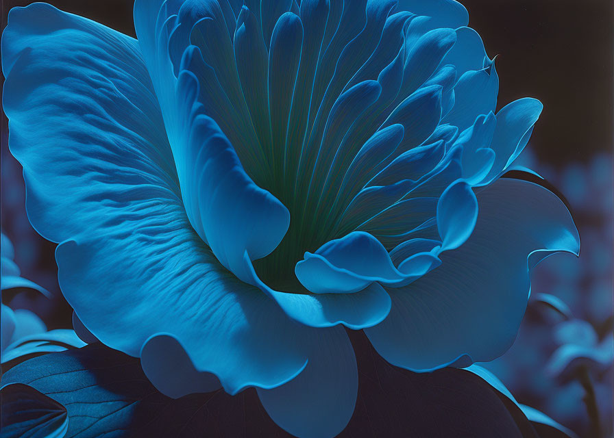 Neon blue flower with intricate details on dark background