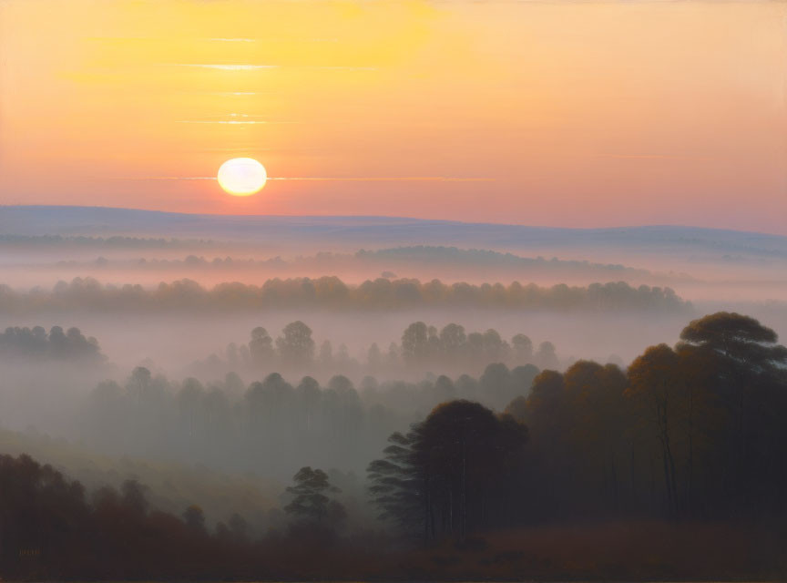 Hazy sunrise over forest with mist and soft light