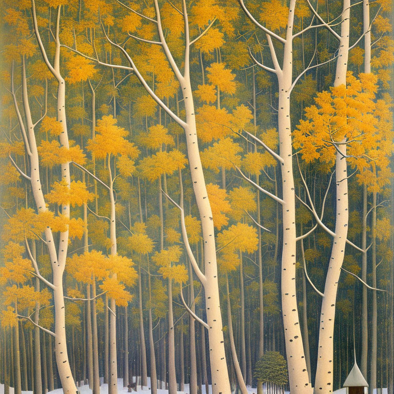 Stylized forest scene with white-barked trees and golden foliage