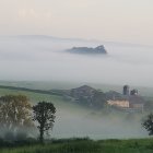 Misty Forest Landscape with Golden Trees and Rolling Hills