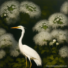 White egret in ethereal setting with dandelion-like plants and flying insect