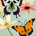 Vibrant butterflies on flowers against yellow backdrop