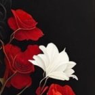 Detailed red and white flower illustration on black background