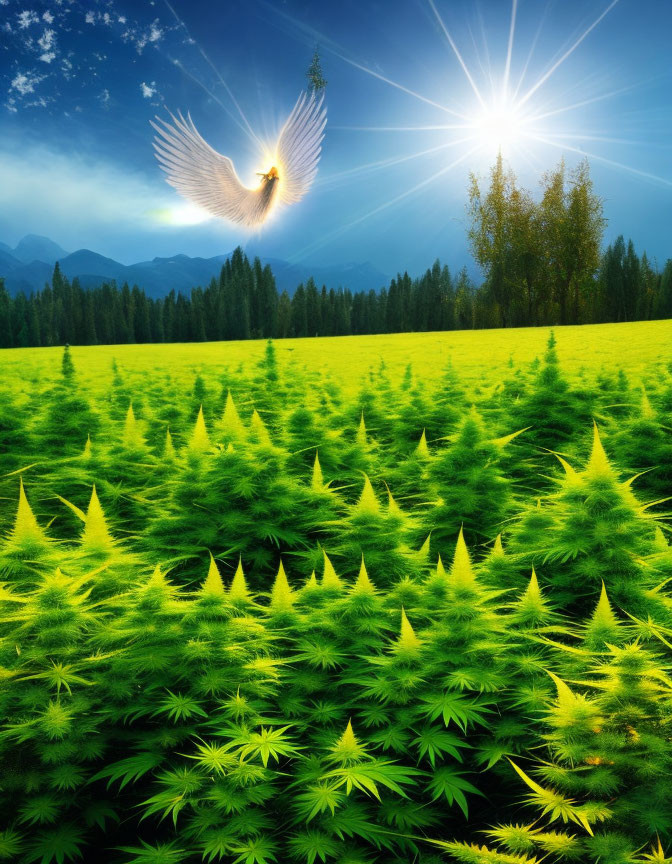 Glowing bird-like figure over lush green forest under radiant sky