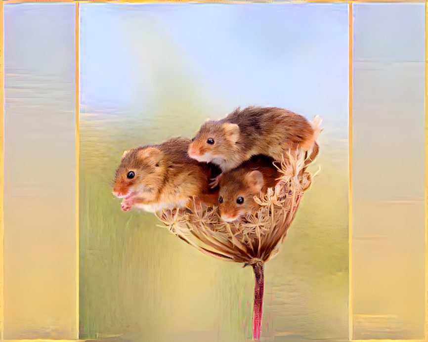 a mouse nest in a dried flower