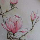 Delicate Pink Magnolia Flowers Watercolor Painting