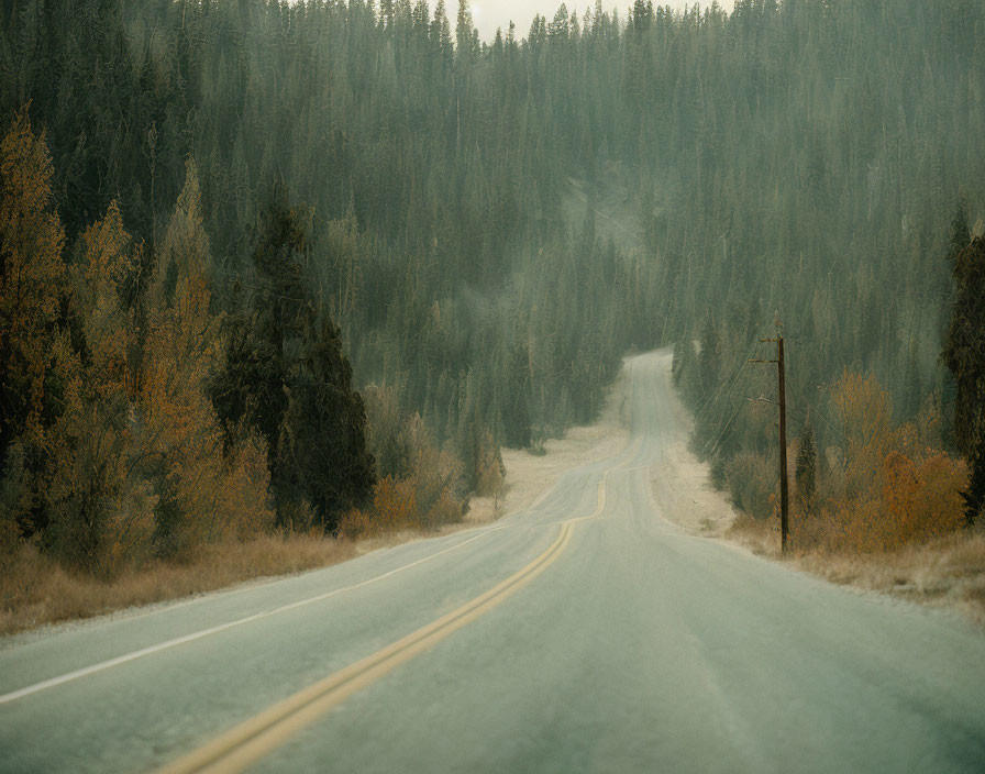 Scenic road through autumn forest under overcast sky