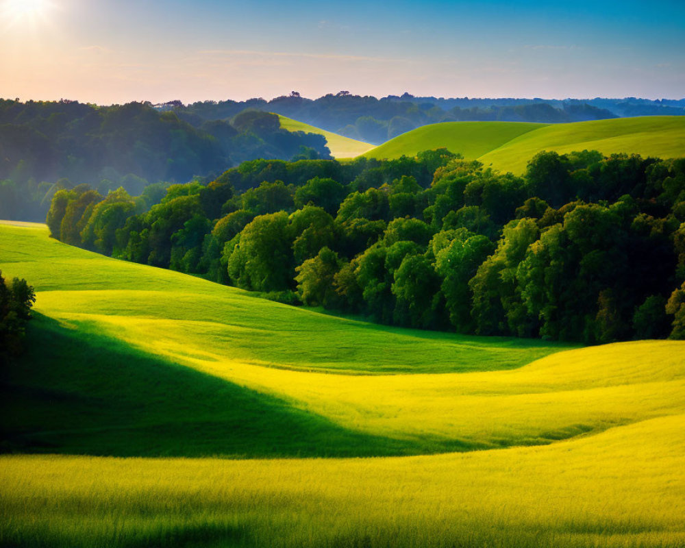 Scenic sunset view of lush green hills and trees