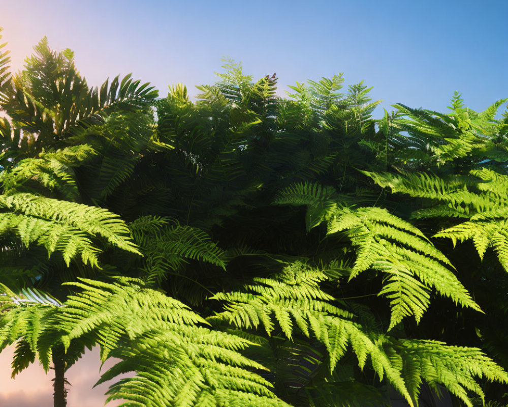 Green ferns under blue sky: Tropical forest ambiance with sunlight filtering through