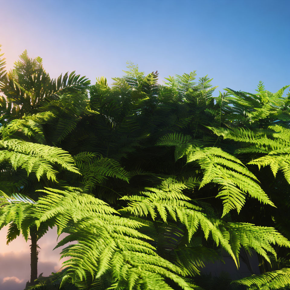 Green ferns under blue sky: Tropical forest ambiance with sunlight filtering through