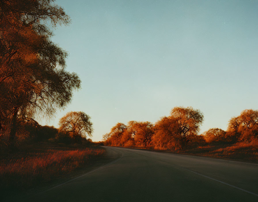 Scenic landscape with winding road and trees at sunrise or sunset