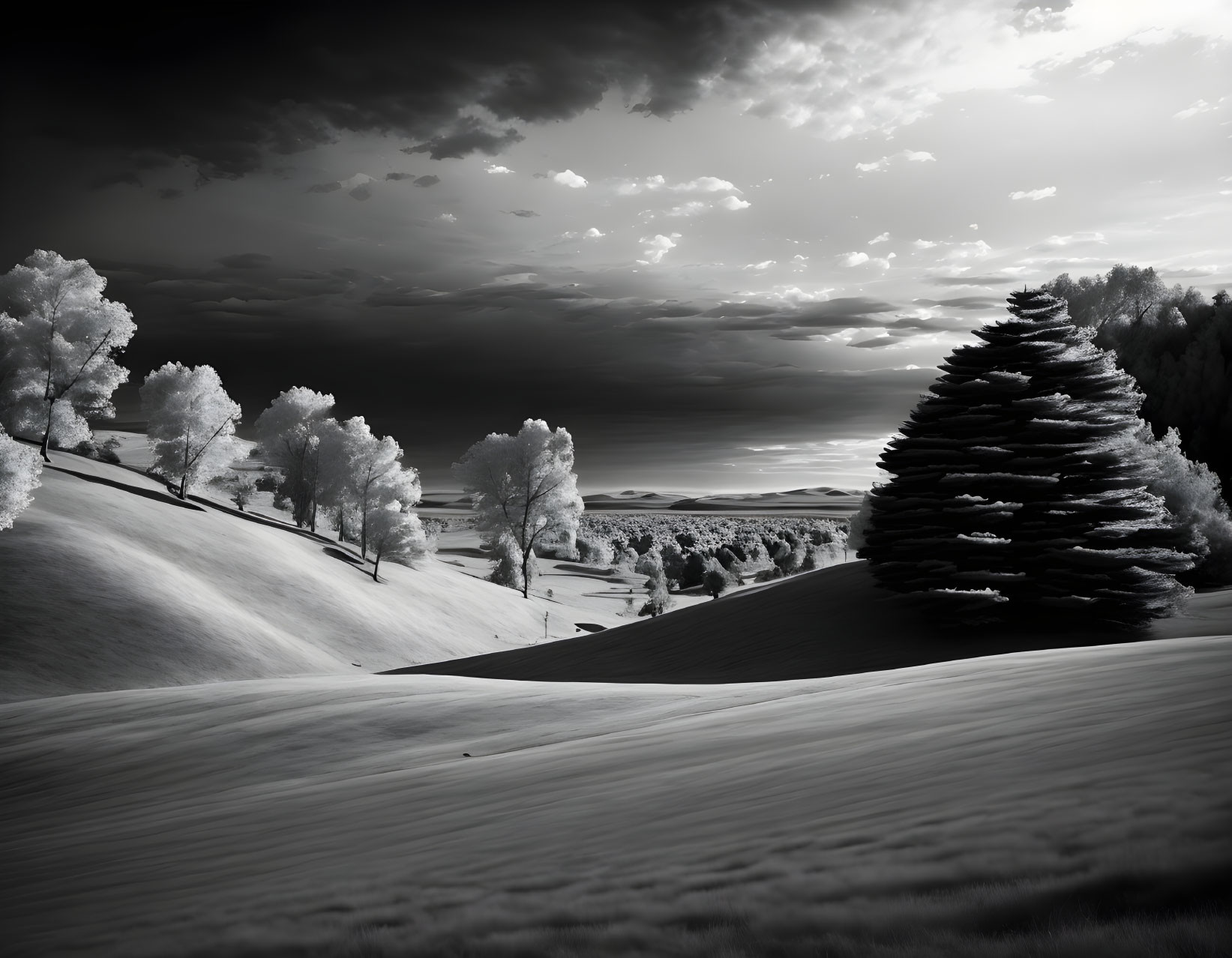 Monochrome landscape with rolling hills and unique tree under cloudy sky