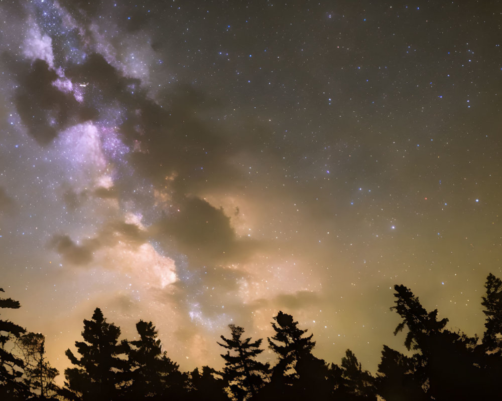 Night sky with Milky Way over forest trees.