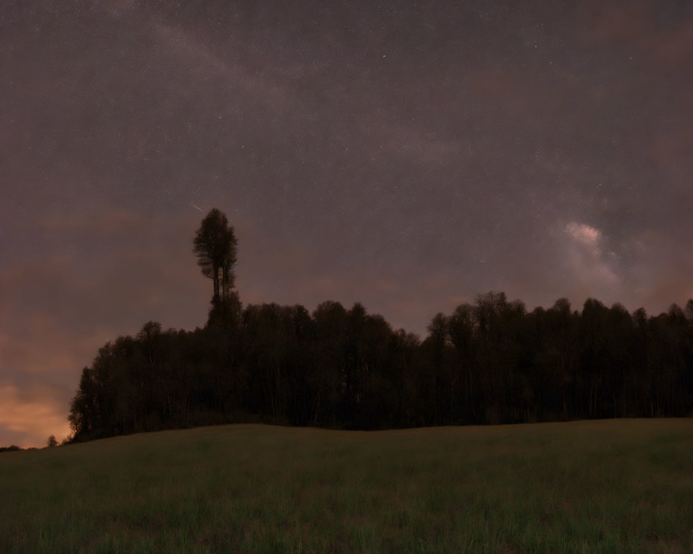 Tranquil night scene with starry sky above forest silhouette.