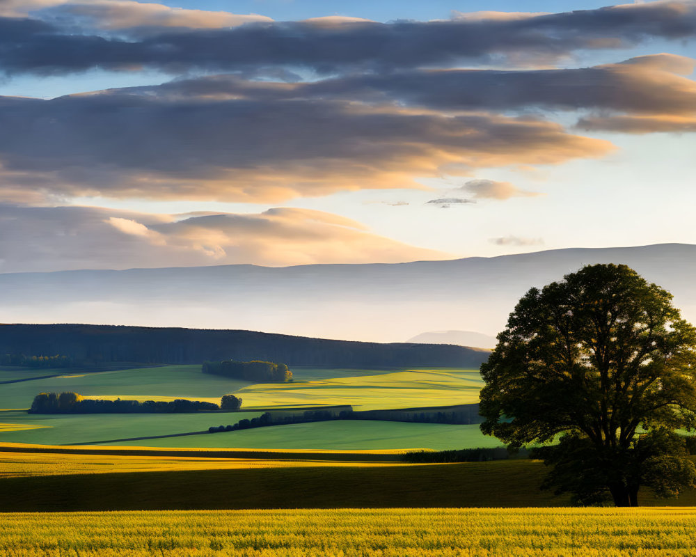 Scenic landscape with lone tree and dramatic sky