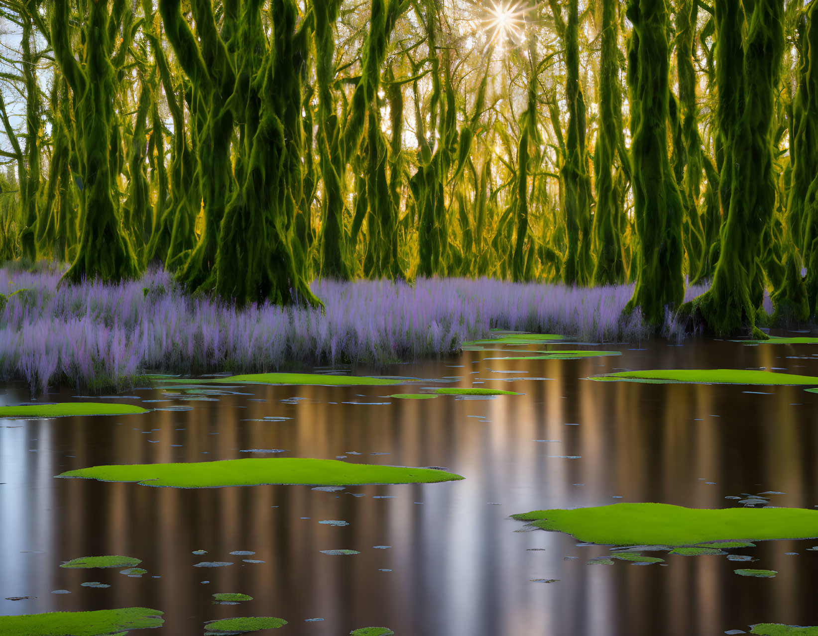 Tranquil pond with moss-covered trees and purple flowers