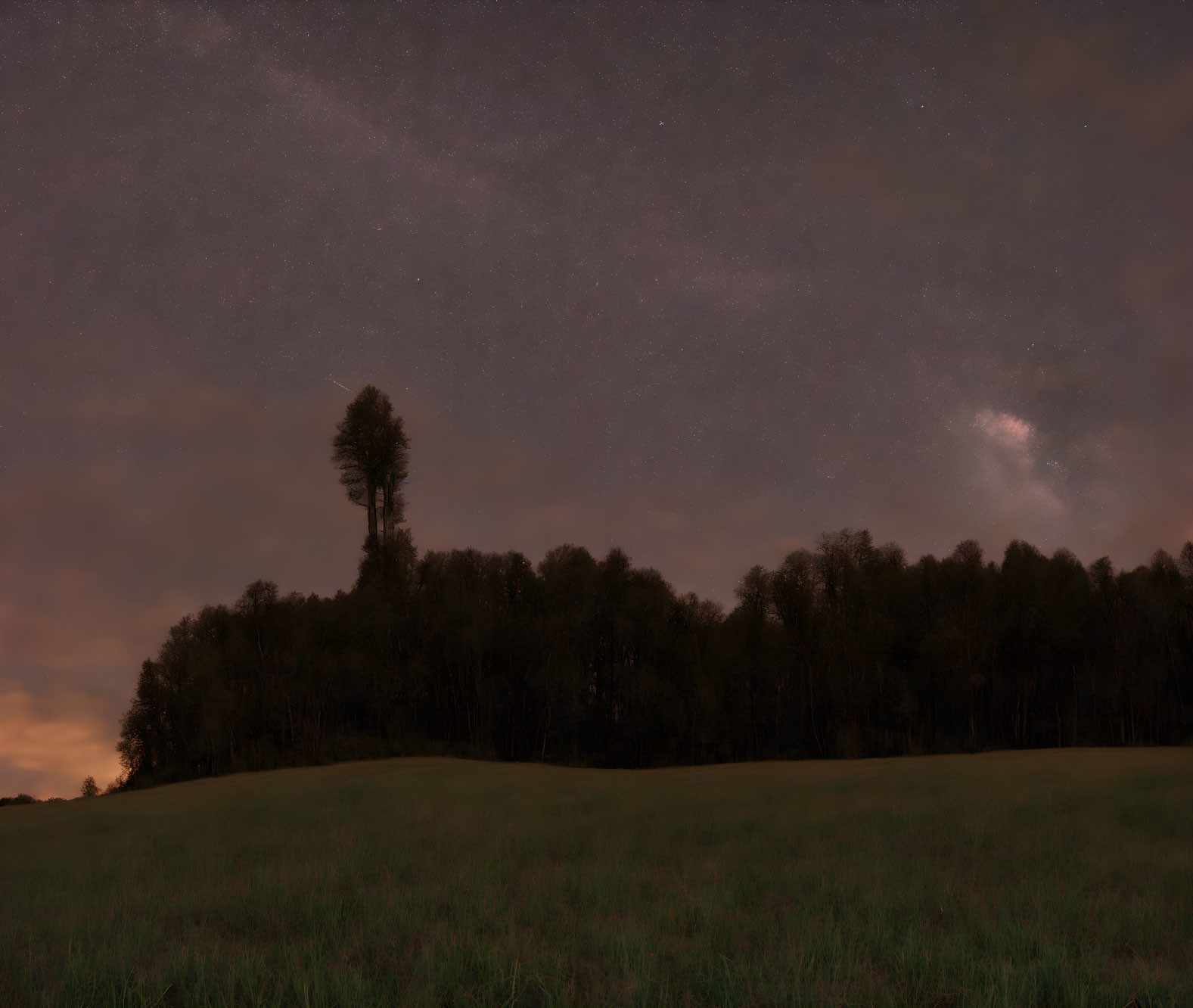 Tranquil night scene with starry sky above forest silhouette.