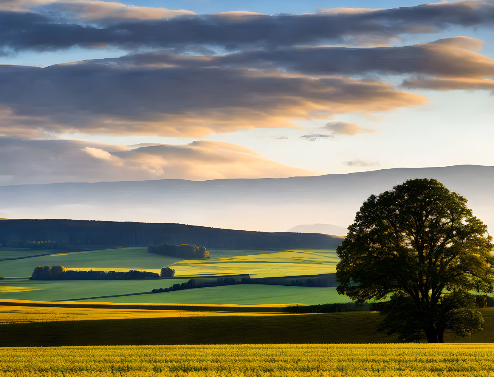 Scenic landscape with lone tree and dramatic sky