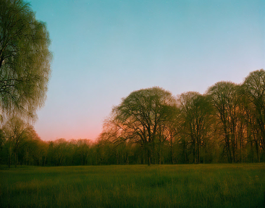 Tranquil dusk setting over meadow with tall grasses