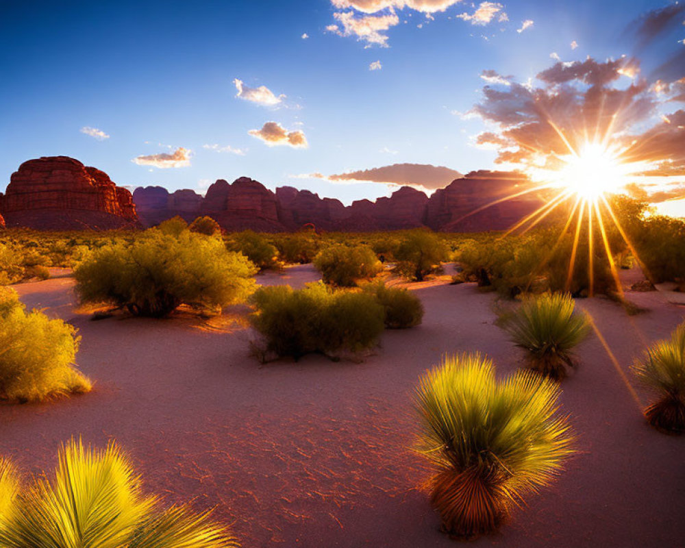 Dramatic desert landscape at sunset with rock formations and shrubs